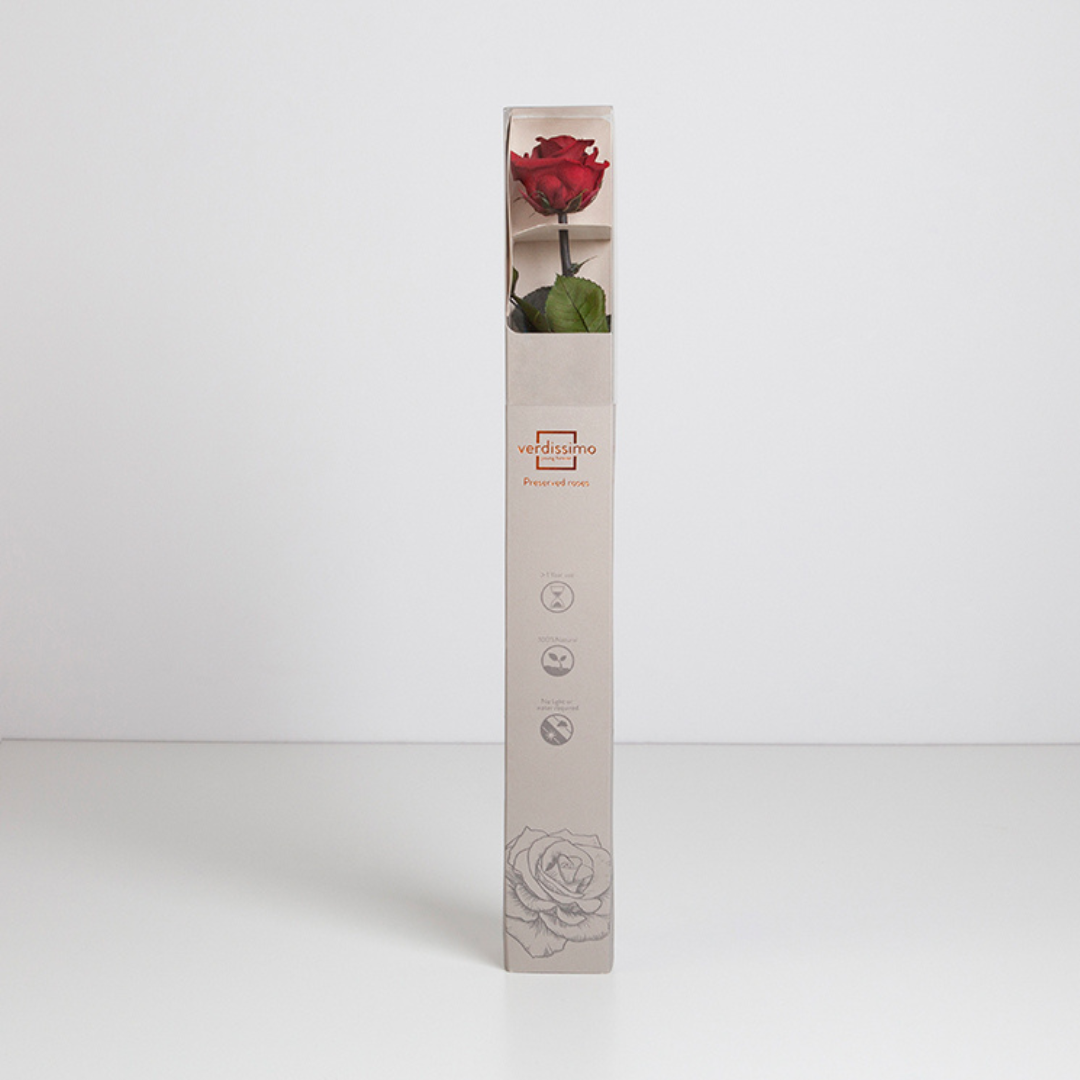 Dark Red Infinity Rose Long Stem