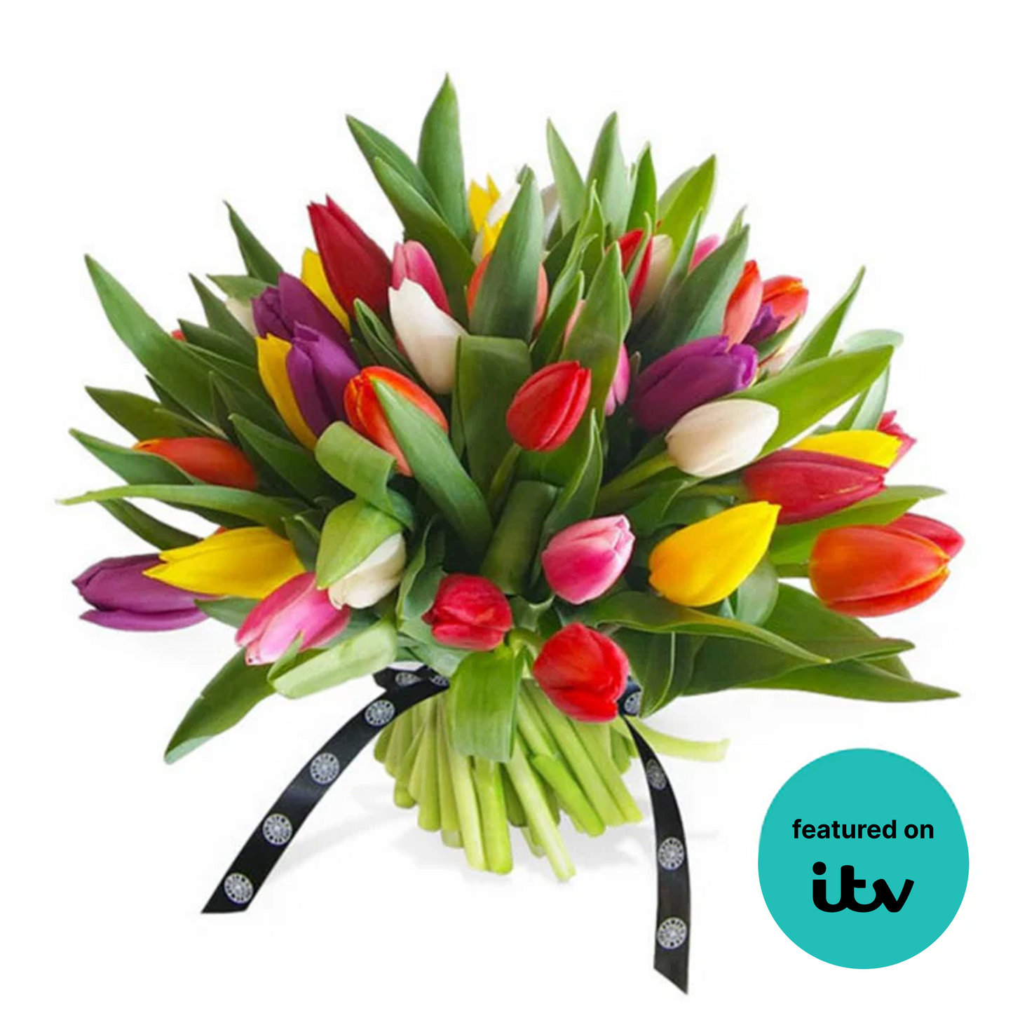 Mixed Tulips