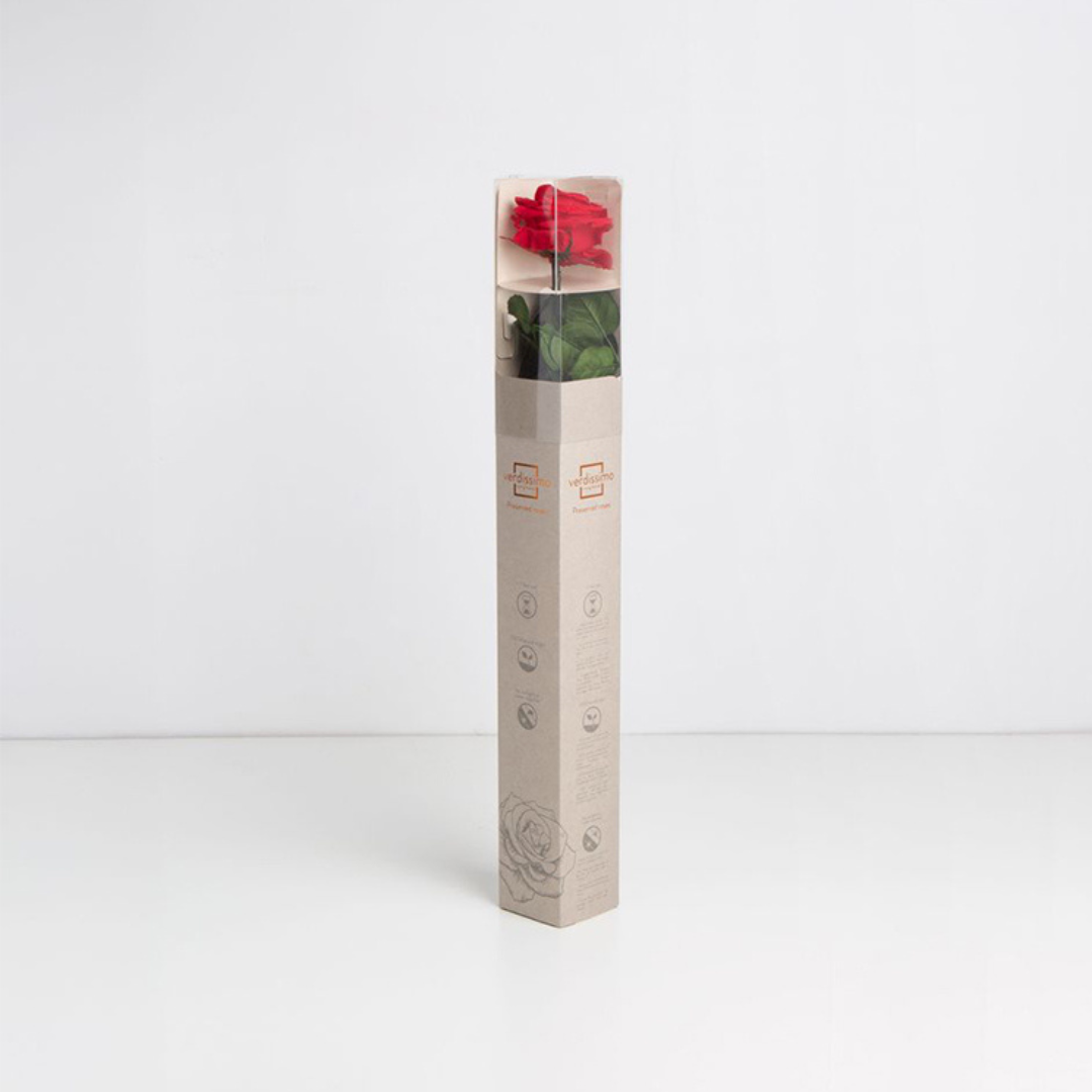Red Infinity Rose Long Stem