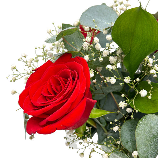 Red Rose & Gypsophil
