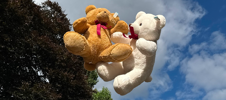 Soft Toys