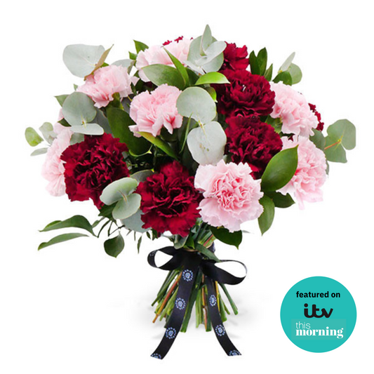 Carnation Crush