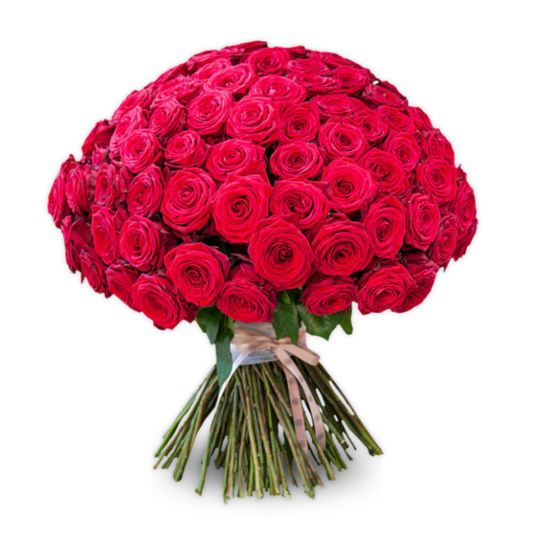 501 Red Roses Bouquet