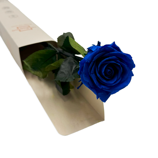 Short-Stemmed Blue Infinity Rose