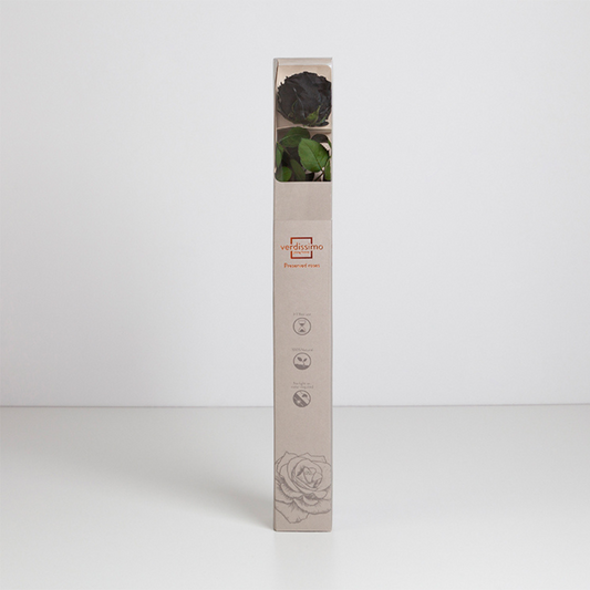 Black Infinity Rose Short Stem