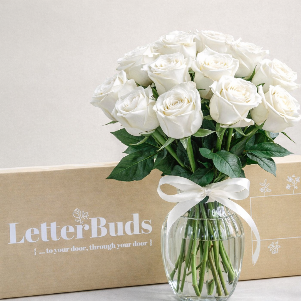 16 White Roses
