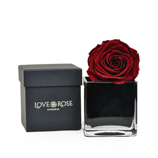 Infinity Red Rose Head in Black Vase and Gift Box