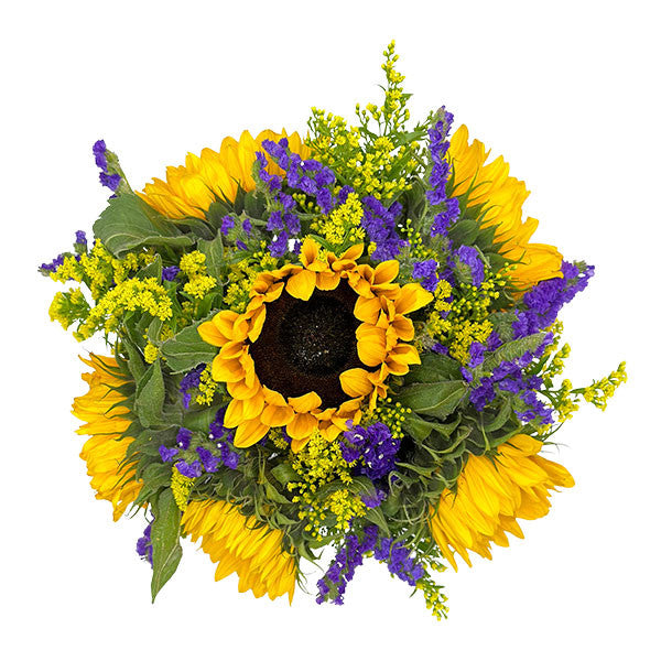 Sunflower Bliss