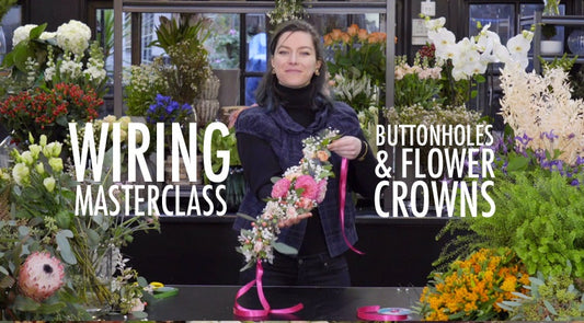 Wiring Masterclass - Online Course