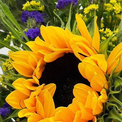 Sunflower Bliss