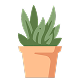 Plant pot water trays