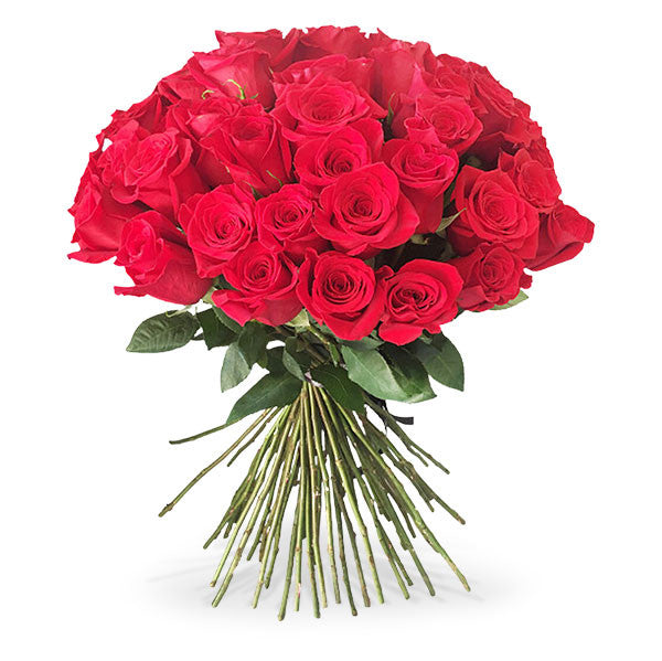 51 Long Stem Red Roses